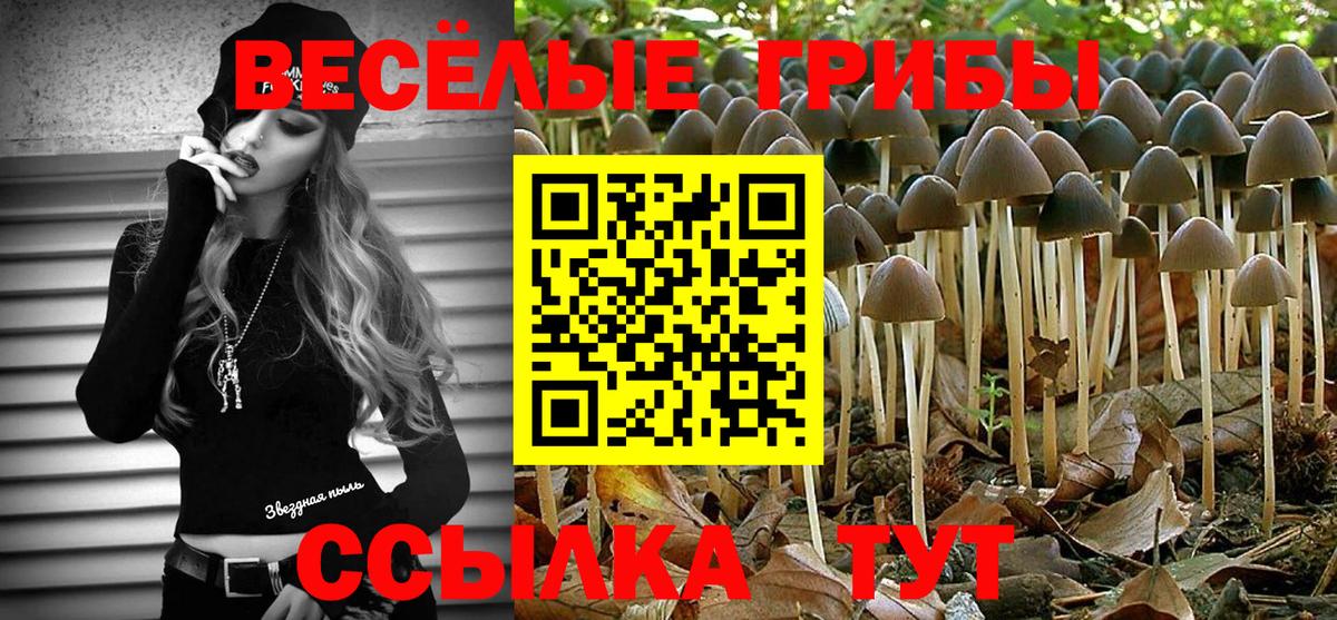 Галлюциногенные грибы Magic Shrooms  Вход с VPN  купить   Шали 